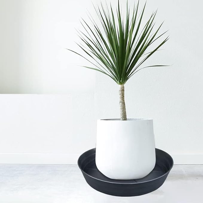 Plant Saucer 14 Inch 2 Pack 10 12 14 16 18 20 25, Plastic Plant Trays for Pots,Extra-Deep Plant Water Dray Tray, Bird Bath Bowl, Heavy Flower Plant Saucers Indoors and Outdoor No Holes