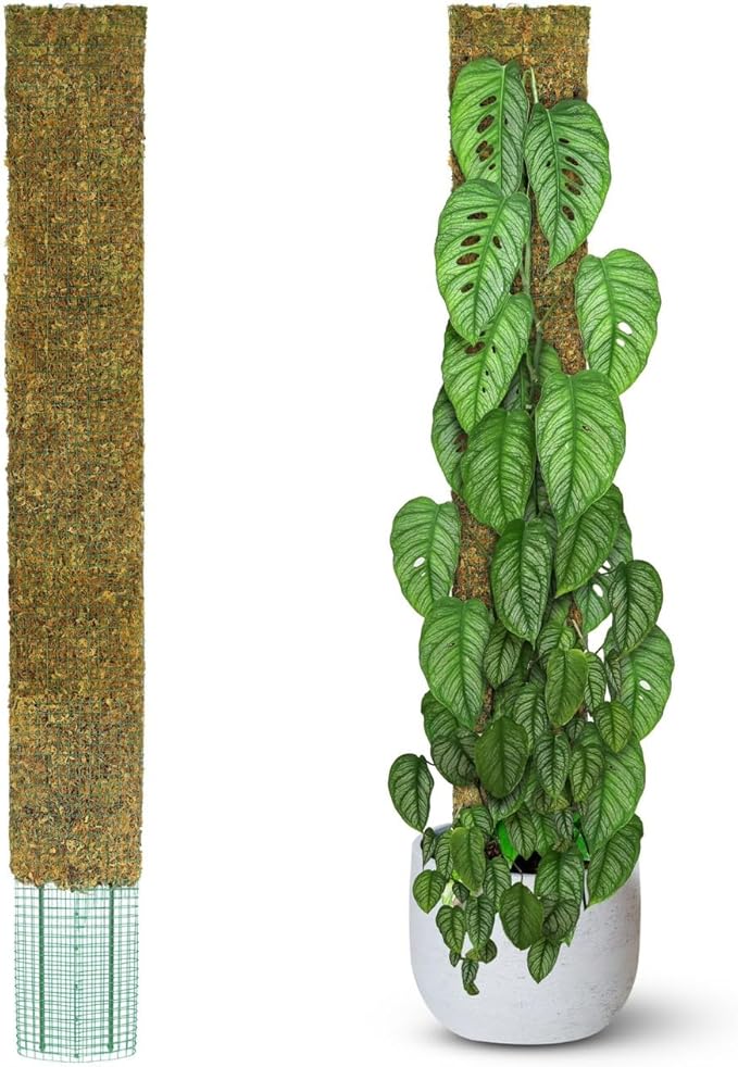 DUSPRO 59ββ Flat Mesh Moss Poles for Climbing Plants Monstera Flat Stacks for Tall Plant with Real Moss Moss Pole for Indoor Plants Plant Stick Support Tall Indoor Plants Support Stakes (1pc., 59'')