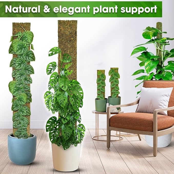 DUSPRO 59ββ Flat Mesh Moss Poles for Climbing Plants Monstera Flat Stacks for Tall Plant with Real Moss Moss Pole for Indoor Plants Plant Stick Support Tall Indoor Plants Support Stakes (1pc., 59'')