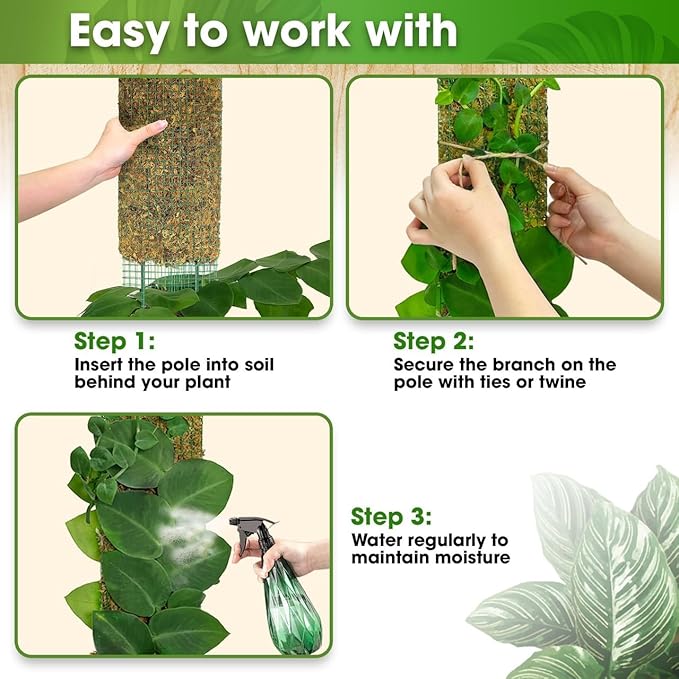 DUSPRO 59ββ Flat Mesh Moss Poles for Climbing Plants Monstera Flat Stacks for Tall Plant with Real Moss Moss Pole for Indoor Plants Plant Stick Support Tall Indoor Plants Support Stakes (1pc., 59'')