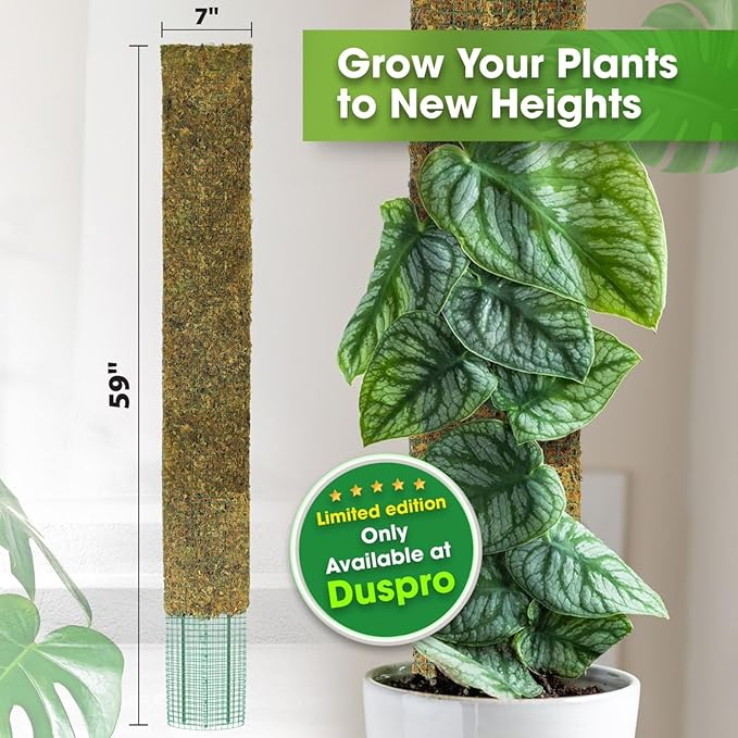 DUSPRO 59ββ Flat Mesh Moss Poles for Climbing Plants Monstera Flat Stacks for Tall Plant with Real Moss Moss Pole for Indoor Plants Plant Stick Support Tall Indoor Plants Support Stakes (1pc., 59'')