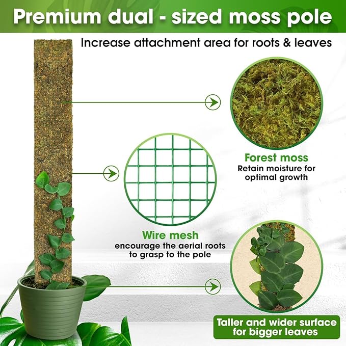 DUSPRO 59ββ Flat Mesh Moss Poles for Climbing Plants Monstera Flat Stacks for Tall Plant with Real Moss Moss Pole for Indoor Plants Plant Stick Support Tall Indoor Plants Support Stakes (1pc., 59'')
