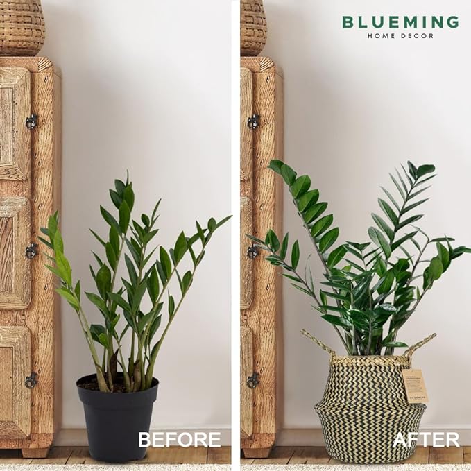 Plant Baskets β Large Seagrass Pot for Tall Indoor Faux Olive Tree, Woven Wicker Rattan Planter for Boho Basket 9-10 Inch (Black, Large)