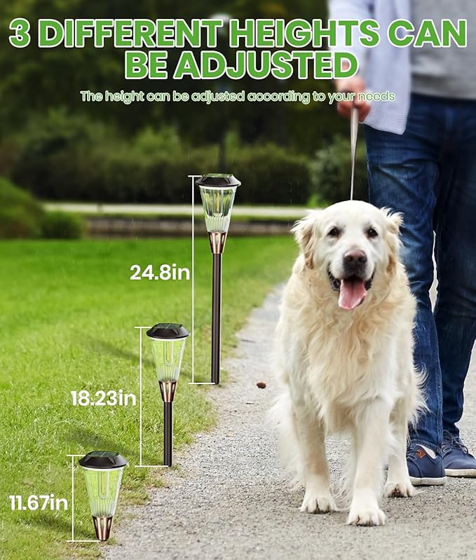 Bright Solar Lights Outdoor 6 Pack, 2-in-1 Cool&Warm Solar Pathway Lights, Pathway Landscape Lighting Waterproof IP65, Auto On/Off Outdoor Light for Yard Walkway Garden Driveway Landscape