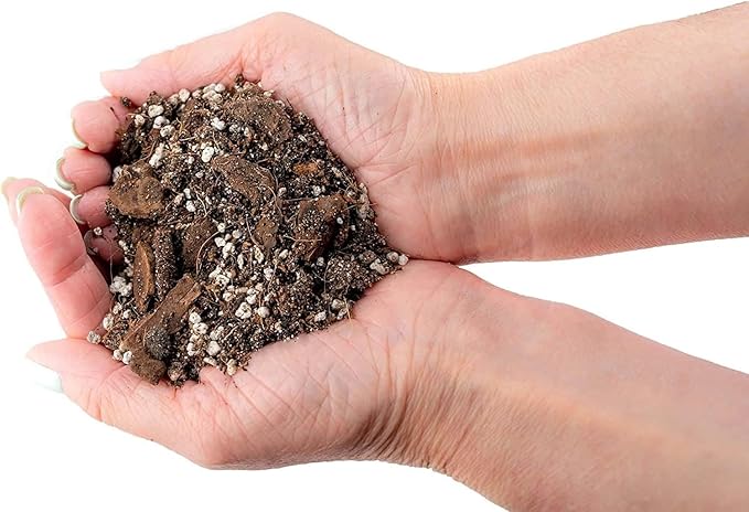 Banana Tree Potting Soil - All-Natural Blend for Thriving Banana Trees - Promotes Deep Root Penetration and Optimal Nutrient Uptake (10 Quart)