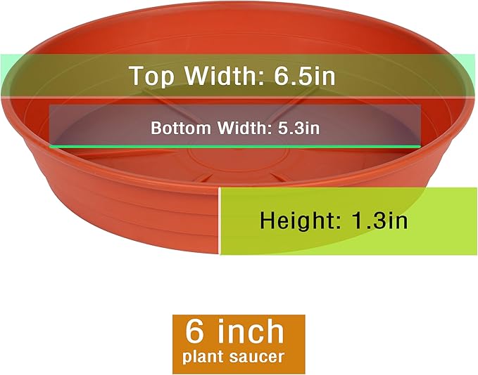 Plant Saucer 6 Inch 4 Pack 6 8 10 12 14 16 18 20 25, Plastic Plant Trays for Pots,Extra-Deep Plant Water Dray Tray, Bird Bath Bowl, Heavy Flower Plant saucers Indoors and Outdoor No Holes 6in-4 red
