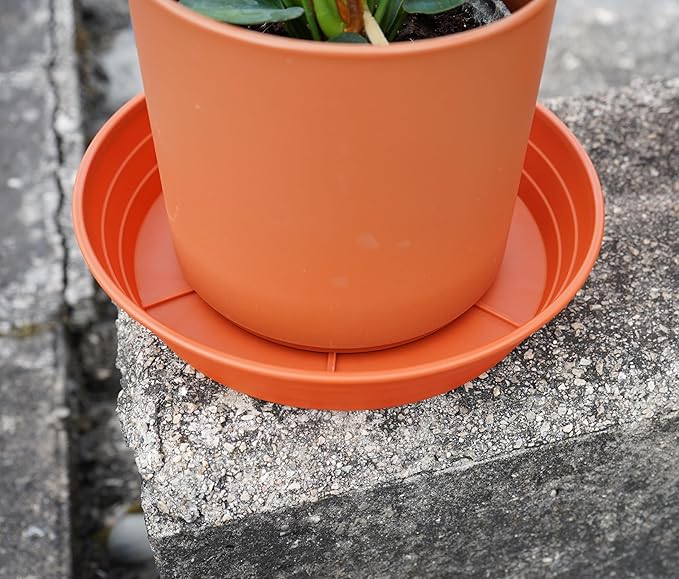 Plant Saucer 6 Inch 4 Pack 6 8 10 12 14 16 18 20 25, Plastic Plant Trays for Pots,Extra-Deep Plant Water Dray Tray, Bird Bath Bowl, Heavy Flower Plant saucers Indoors and Outdoor No Holes 6in-4 red