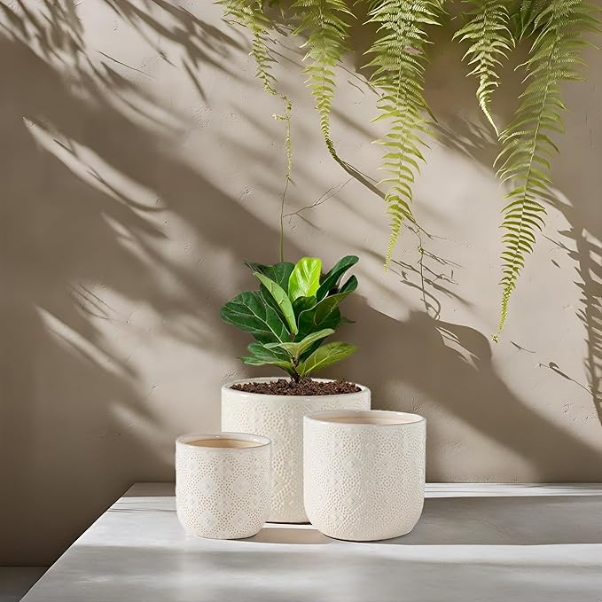 Docrin Ceramic Plant Pots Indoor:6.5+5.3+4 Inch Planters with Drainage Holes for Home /Office - Set of 3 / White
