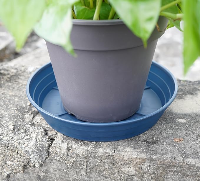 Plant Saucer 6 Inch 4 Pack 6 8 10 12 14 16 18 20 25, Plastic Plant Trays for Pots,Extra-Deep Plant Water Dray Tray, Bird Bath Bowl, Heavy Flower Plant saucers Indoors and Outdoor No Holes 6in-4 blue