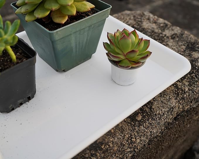 4 Pack Plant Saucer Tray Rectangular, Plant Saucers for Indoors, Heavy Sturdy Plastic Plant Drainage Trays, Plant Drip Trays for Pots, Seed Starter Growing Tray (11 x 9, Creamy White)
