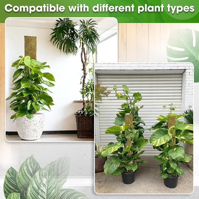 DUSPRO 59ββ Flat Mesh Moss Poles for Climbing Plants Monstera Flat Stacks for Tall Plant with Real Moss Moss Pole for Indoor Plants Plant Stick Support Tall Indoor Plants Support Stakes (1pc., 59'')