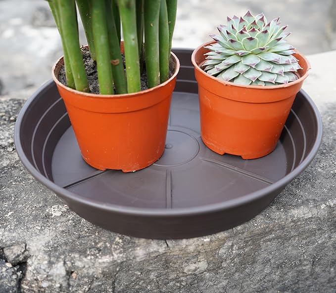 Plant Saucer 6 Inch 4 Pack 6 8 10 12 14 16 18 20 25, Plastic Plant Trays for Pots,Extra-Deep Plant Water Dray Tray, Bird Bath Bowl, Heavy Flower Plant saucers Indoors and Outdoor No Holes 6in-4 brown