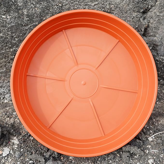 Plant Saucer 6 Inch 4 Pack 6 8 10 12 14 16 18 20 25, Plastic Plant Trays for Pots,Extra-Deep Plant Water Dray Tray, Bird Bath Bowl, Heavy Flower Plant saucers Indoors and Outdoor No Holes 6in-4 red