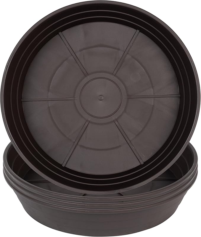 Plant Saucer 6 Inch 4 Pack 6 8 10 12 14 16 18 20 25, Plastic Plant Trays for Pots,Extra-Deep Plant Water Dray Tray, Bird Bath Bowl, Heavy Flower Plant saucers Indoors and Outdoor No Holes 6in-4 brown
