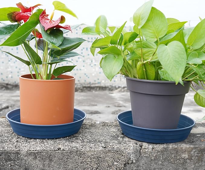 Plant Saucer 6 Inch 4 Pack 6 8 10 12 14 16 18 20 25, Plastic Plant Trays for Pots,Extra-Deep Plant Water Dray Tray, Bird Bath Bowl, Heavy Flower Plant saucers Indoors and Outdoor No Holes 6in-4 blue