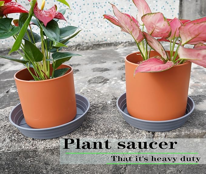 Plant Saucer 6 Inch 4 Pack 6 8 10 12 14 16 18 20 25, Plastic Plant Trays for Pots,Extra-Deep Plant Water Dray Tray, Bird Bath Bowl, Heavy Flower Plant saucers Indoors and Outdoor No Holes 6in-4 grey
