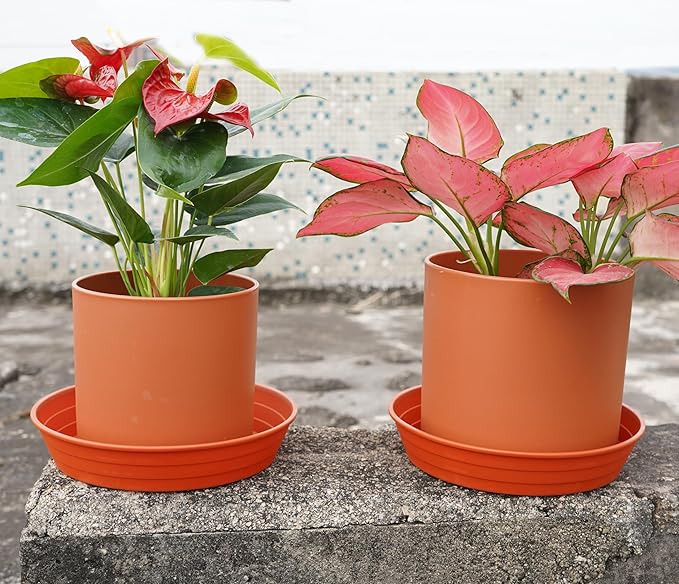Plant Saucer 6 Inch 4 Pack 6 8 10 12 14 16 18 20 25, Plastic Plant Trays for Pots,Extra-Deep Plant Water Dray Tray, Bird Bath Bowl, Heavy Flower Plant saucers Indoors and Outdoor No Holes 6in-4 red