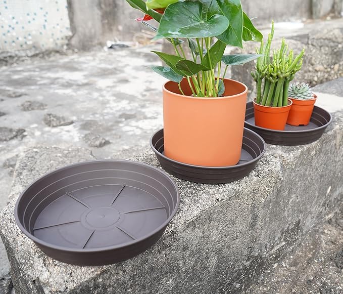 Plant Saucer 6 Inch 4 Pack 6 8 10 12 14 16 18 20 25, Plastic Plant Trays for Pots,Extra-Deep Plant Water Dray Tray, Bird Bath Bowl, Heavy Flower Plant saucers Indoors and Outdoor No Holes 6in-4 brown