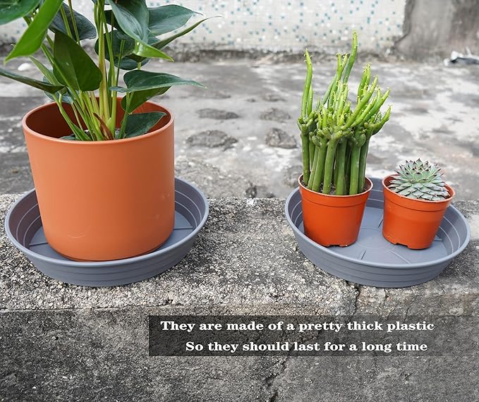 Plant Saucer 6 Inch 4 Pack 6 8 10 12 14 16 18 20 25, Plastic Plant Trays for Pots,Extra-Deep Plant Water Dray Tray, Bird Bath Bowl, Heavy Flower Plant saucers Indoors and Outdoor No Holes 6in-4 grey