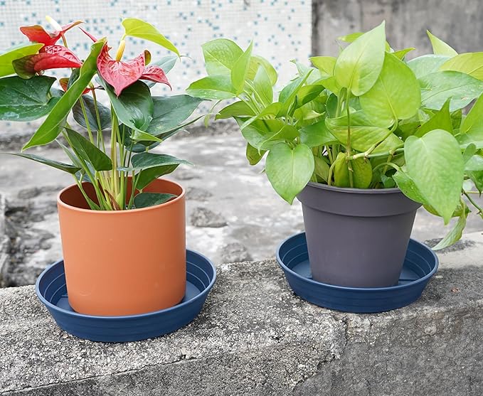 Plant Saucer 6 Inch 4 Pack 6 8 10 12 14 16 18 20 25, Plastic Plant Trays for Pots,Extra-Deep Plant Water Dray Tray, Bird Bath Bowl, Heavy Flower Plant saucers Indoors and Outdoor No Holes 6in-4 blue