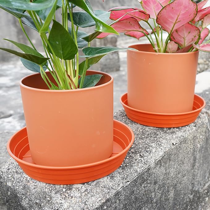 Plant Saucer 6 Inch 4 Pack 6 8 10 12 14 16 18 20 25, Plastic Plant Trays for Pots,Extra-Deep Plant Water Dray Tray, Bird Bath Bowl, Heavy Flower Plant saucers Indoors and Outdoor No Holes 6in-4 red
