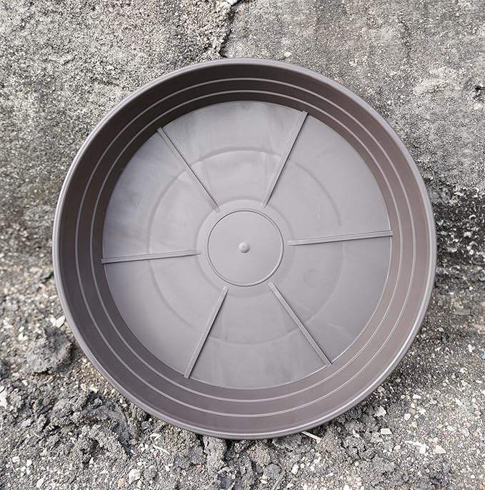 Plant Saucer 6 Inch 4 Pack 6 8 10 12 14 16 18 20 25, Plastic Plant Trays for Pots,Extra-Deep Plant Water Dray Tray, Bird Bath Bowl, Heavy Flower Plant saucers Indoors and Outdoor No Holes 6in-4 brown