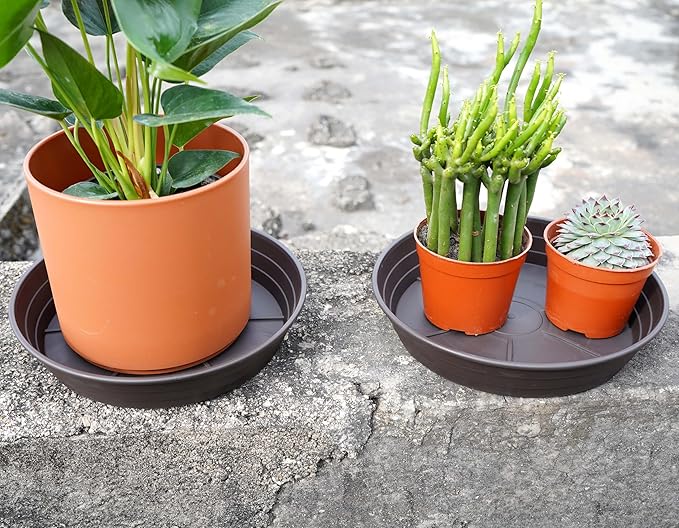 Plant Saucer 6 Inch 4 Pack 6 8 10 12 14 16 18 20 25, Plastic Plant Trays for Pots,Extra-Deep Plant Water Dray Tray, Bird Bath Bowl, Heavy Flower Plant saucers Indoors and Outdoor No Holes 6in-4 brown