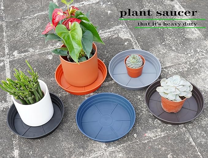 Plant Saucer 6 Inch 4 Pack 6 8 10 12 14 16 18 20 25, Plastic Plant Trays for Pots,Extra-Deep Plant Water Dray Tray, Bird Bath Bowl, Heavy Flower Plant saucers Indoors and Outdoor No Holes 6in-4 grey