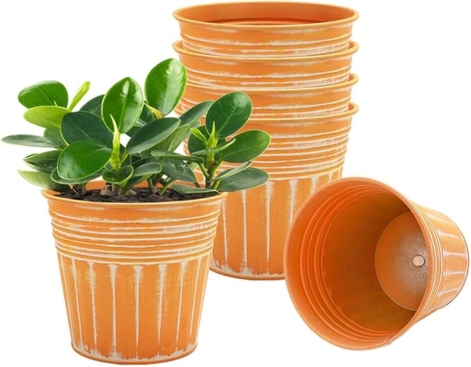 vensovo 6 Inches Orange Metal Rustic Flower Pots - 6 Pcs Small Galvanized Planters with Drainage Hole and Rubber Plug, Rustproof Tin Bucket Plant Pot Farmhouse Vintage Style for Decor