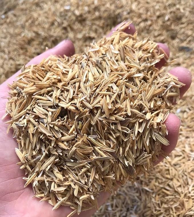 Rice Hulls for Potting Applications - Promote Root Development, Water Efficiency, and Disease Resistance - 5 QUARTS