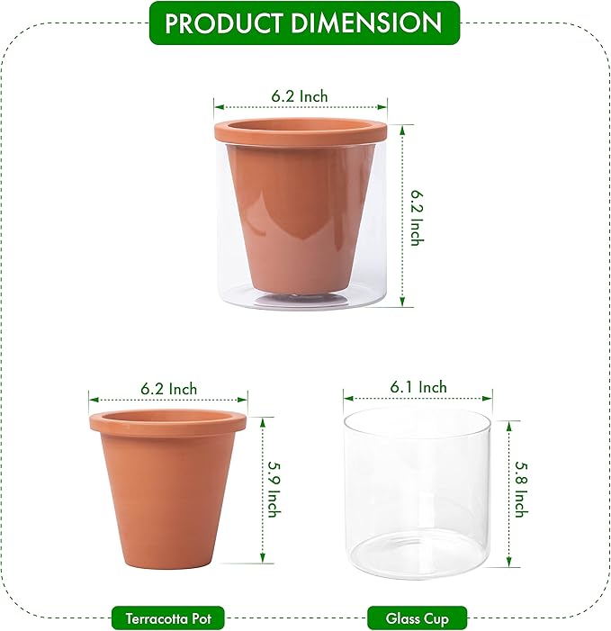 D'vine Dev 6 Inch Design Self Watering Pot for Indoor Plants, Terracotta Planter with Cylinder Glass Cup, 37-X-B-1