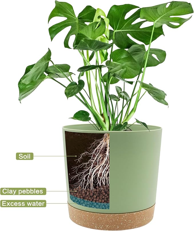 QCQHDU 6.5 inch Plant Pot, 2 Pack Planters for Indoor Plants with Drainage Holes & Saucer, Outdoor Flower Pots Home Garden Modern Decor