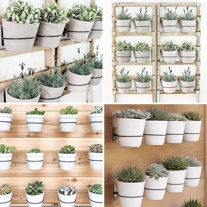 6 Pack 4in Flower Pot Holder Ring Wall Mounted Metal Planter Hooks Hangers Wall Bracket