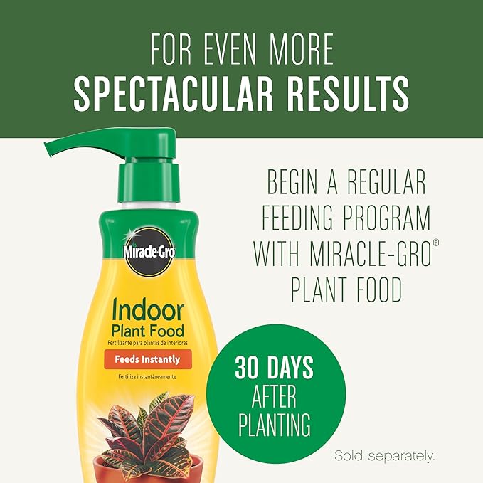 Miracle-Gro Houseplant Potting Mix, for Indoor Container Plants, Feeds for up to Six Months, 4 qt. (3-Pack)