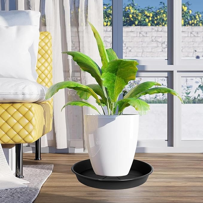 6 Pack of Plant Saucer 6 inch, Black Plastic Flower Plant Pot Saucer, Heavy Duty Plant Drip Trays Saucers for Indoor, Plant Water Tray for Planters