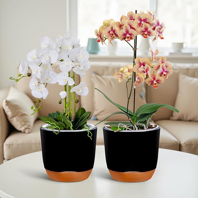 QCQHDU 2 Pack Orchid Pots with Holes for Repotting, Double-Layer and Self Watering Orchid Pot with Good Air Circulation