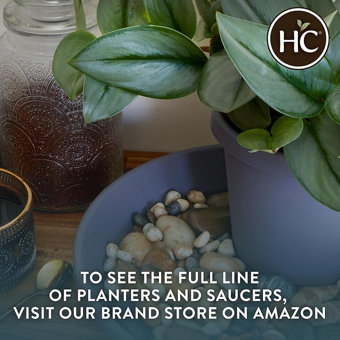 The HC Companies 6 Inch Round Plastic Classic Plant Saucer - Indoor Outdoor Plant Trays for Pots - 6.75"x6.75"x1.13" Chocolate