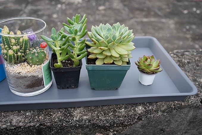 Plant Saucer Growing Tray, Seed Starter Tray Rectangular, Heavy Sturdy Plastic Plant Saucers Drainage Trays, Plant Drip Trays for Pots, Seed Starter Growing Tray (11 x 9 inch, 1 Pack)